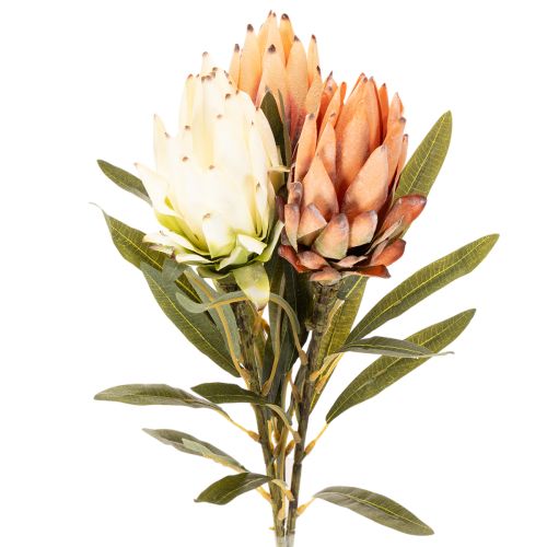 Umělý květ protey (Leucadendron) s dlouhým stonkem, 65 cm, 3 kusy