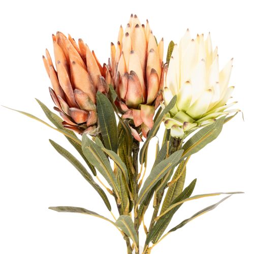 Umělý květ protey (Leucadendron) s dlouhým stonkem, 65 cm, 3 kusy | Floristik24.cz