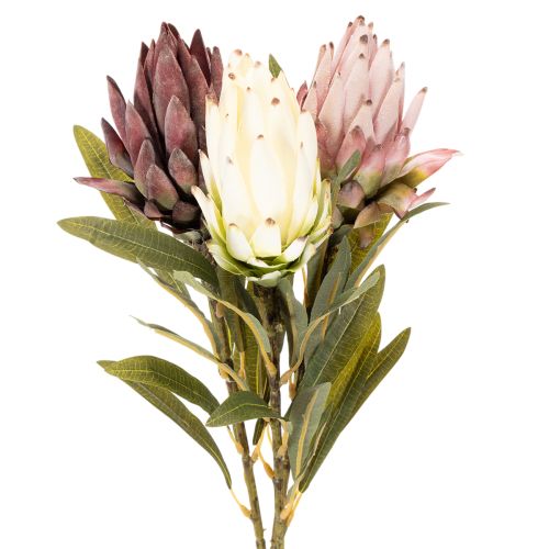 Umělá květina Protea Leucadendron 100cm 3 ks