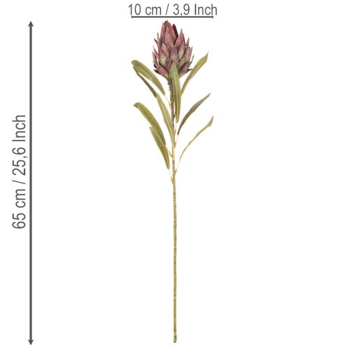Umělá květina Protea Leucadendron 100cm 3 ks | Floristik24.cz