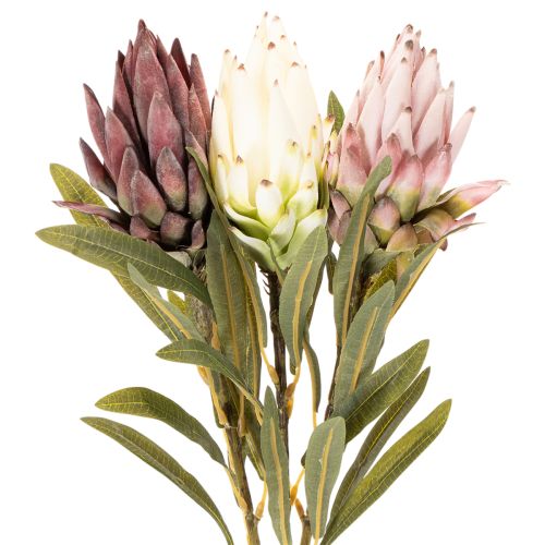 Umělá květina Protea Leucadendron 100cm 3 ks | Floristik24.cz