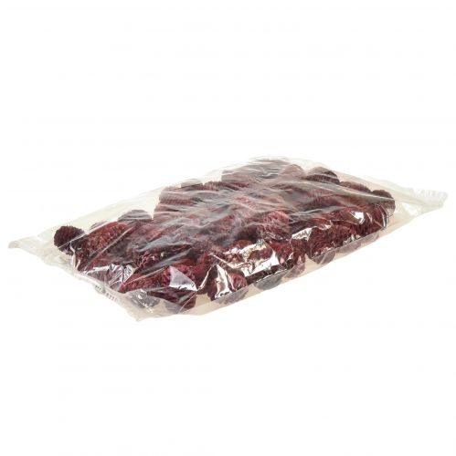 položky Leucadendron Sabulosum šišky v červeně matné 500g