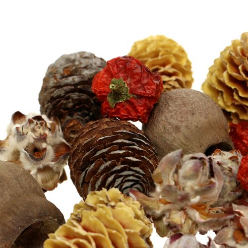 Floristik24 Exotická směs sušeného ovoce a šišek natural 500g