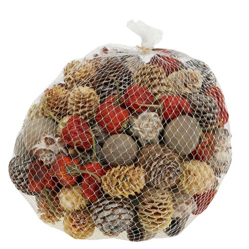 Floristik24 Exotická směs sušeného ovoce a šišek natural 500g