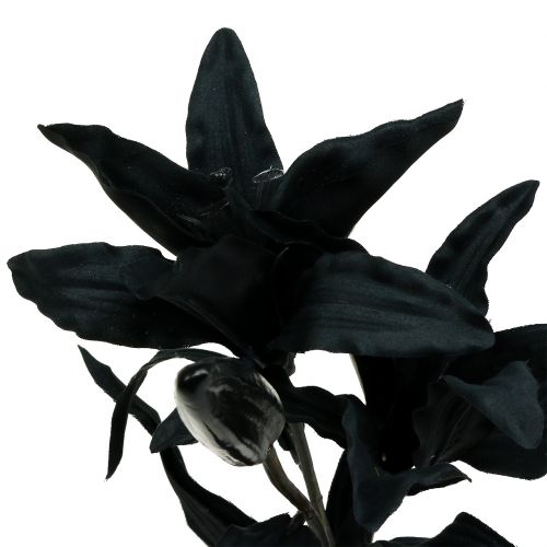 položky Umělý květ lilie černá 84cm
