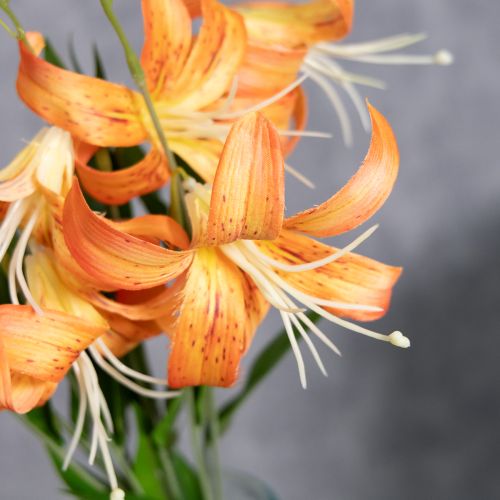 položky Umělé lilie, dekorace na svatby a akce, 77 cm, 4 kusy