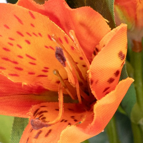 Umělý květ pomeranče Alstroemeria, umělá kytice, 75 cm, 3 kusy | Floristik24.cz