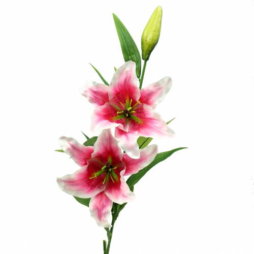 Floristik24 Orientální lilie &quot;Stargazer&quot; bílá, růžová 86cm