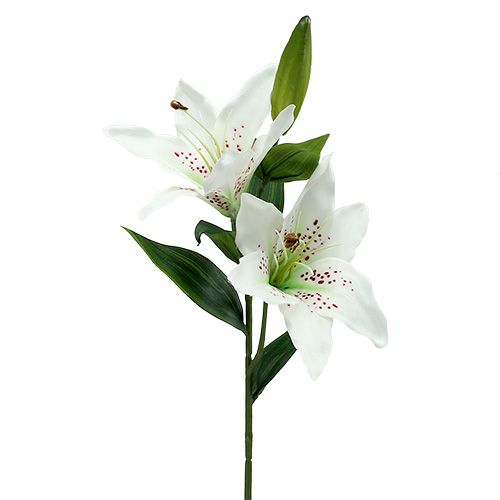 Floristik24 Lily bílá 66 cm