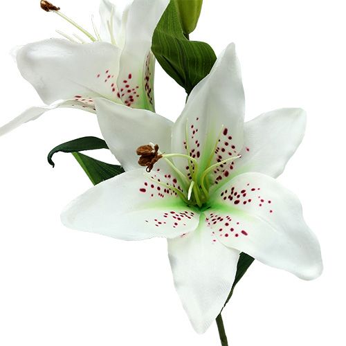 Floristik24 Lily bílá 66 cm