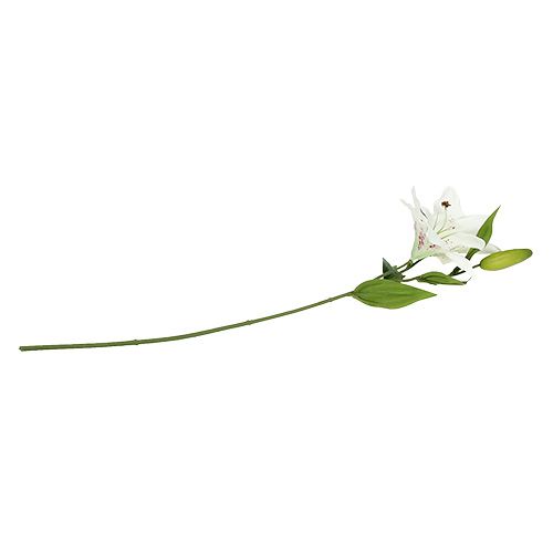 Floristik24 Lily bílá 66 cm
