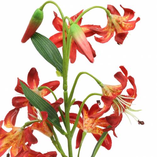 Floristik24 Lilie oranžová 82 cm