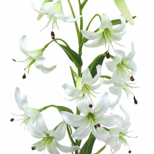Floristik24 Lilie bílá 82 cm