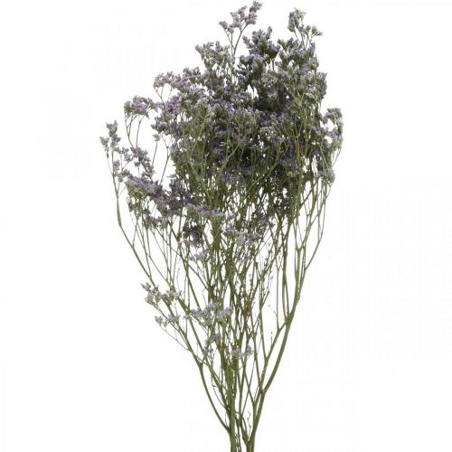 Floristik24 Suché květy, mořská levandule, statice tatarská, mořská levandule, limonium violet L45–50cm 30g