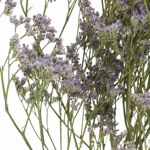 Floristik24 Suché květy, mořská levandule, statice tatarská, mořská levandule, limonium violet L45–50cm 30g