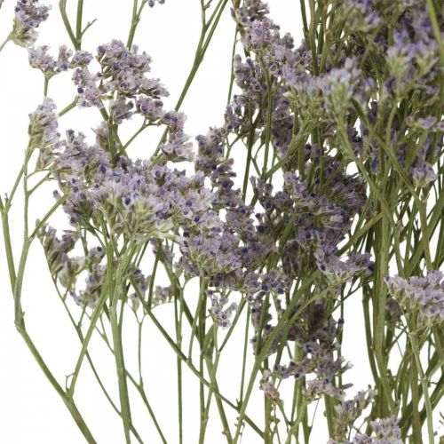 položky Suché květy, mořská levandule, statice tatarská, mořská levandule, limonium violet L45–50cm 30g