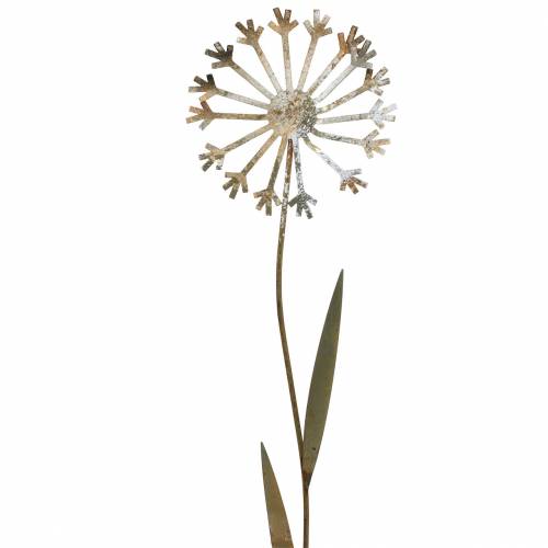 Floristik24 Zahradní hmoždinka pampeliška patina kov Ø10 H49cm