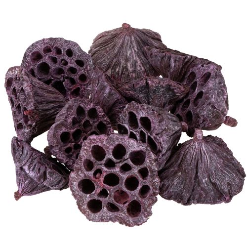 položky Lotosové kapsle, suché květinářství, lotosová žárovka růžová, praná bílá 50 kusů