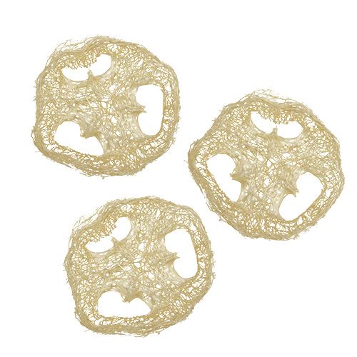 Floristik24 Kotouče Luffa bělené Ø5cm 48 ks