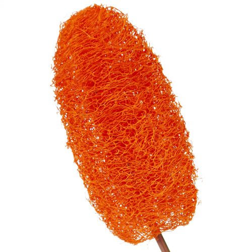 položky Luffa velká na špejli oranžová 25 ks