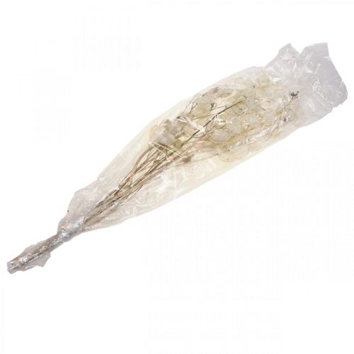 položky Lunaria sušené květy měsíční fialka stříbrný list sušený 60-80cm 30g