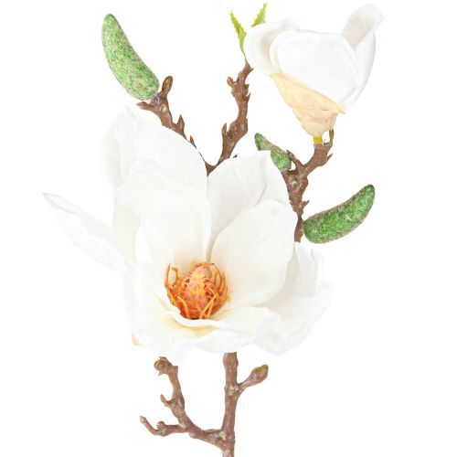 Floristik24 Magnolia White Umělá poupata Dekorace Větev V40cm 2ks