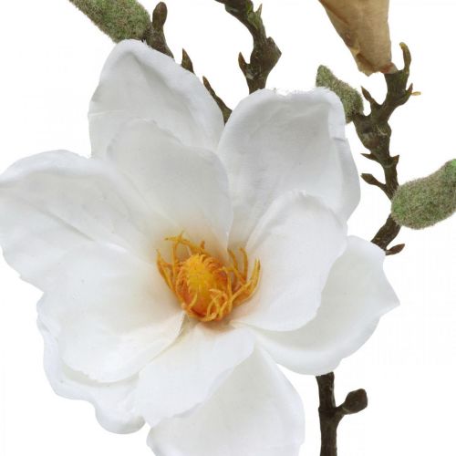 položky Magnolia bílá umělá květina s poupaty na ozdobné větvi V40cm