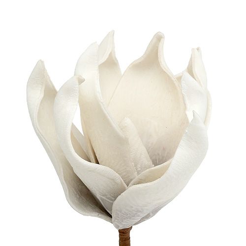 položky Květ magnólie z molitanu šedý, bílý Ø10cm L26cm 4ks