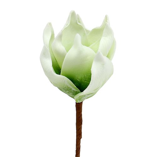 Floristik24 Květ magnólie z molitanu bílo-zelený Ø10cm L26cm 4ks