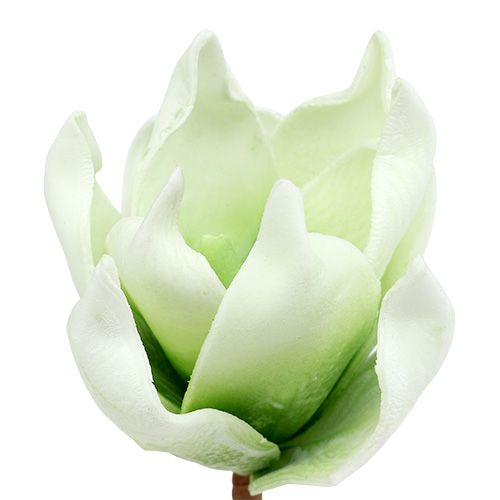 Floristik24 Květ magnólie z molitanu bílo-zelený Ø10cm L26cm 4ks