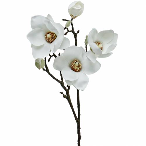 Floristik24 Větvička magnólie bílá Dekorativní větev magnólie umělá květina