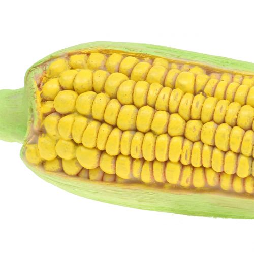 Floristik24 Kukuřičná zelenina 20cm