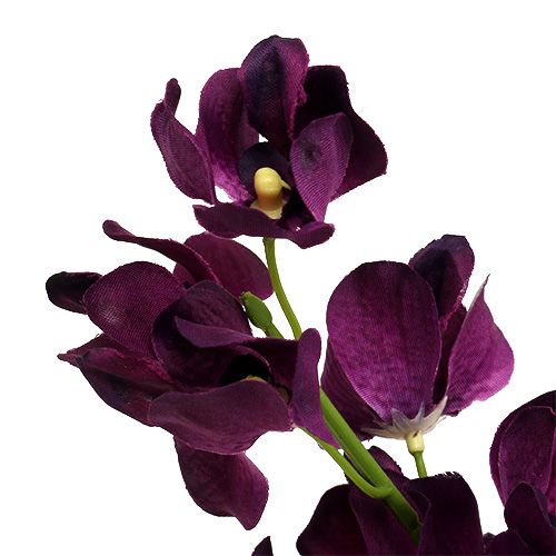 položky Mokara orchidej fialová 50cm umělá 6ks