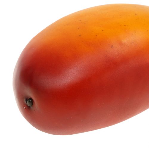 Floristik24 Mango 14 cm x 7 cm