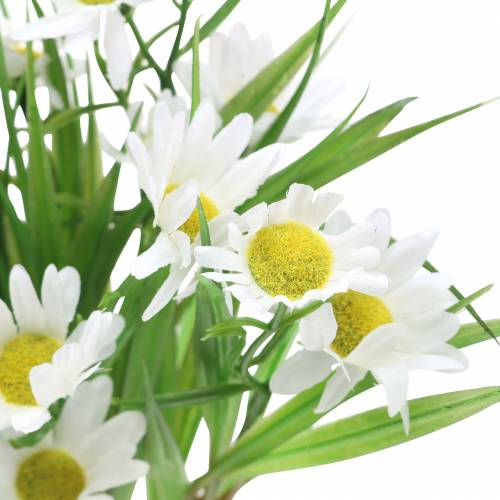 Floristik24 Kytice ze sedmikrásek s dekorativní trávou 37cm