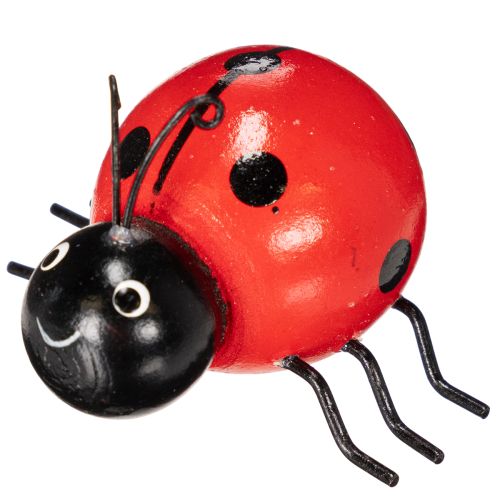 položky Dřevěné berušky/štěstěnky jako roztomilé dekorace do domácnosti, 5 cm, 6 kusů