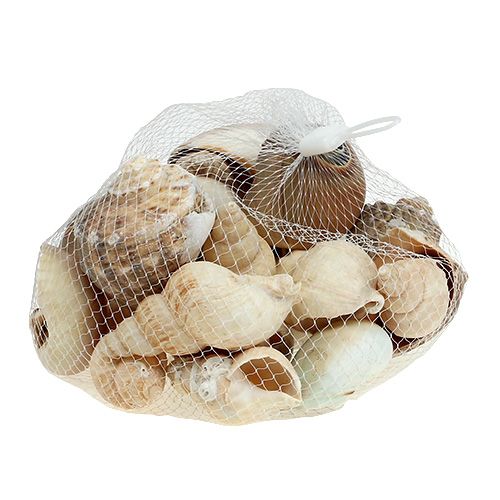 položky Námořní deco shell mix příroda 400g