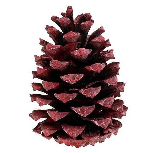 položky Maritima šišky 10-15cm červeně matné 12 ks