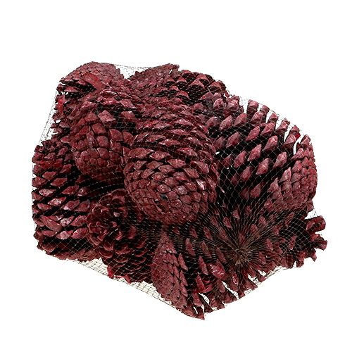 položky Maritima šišky 10-15cm červeně matné 12 ks