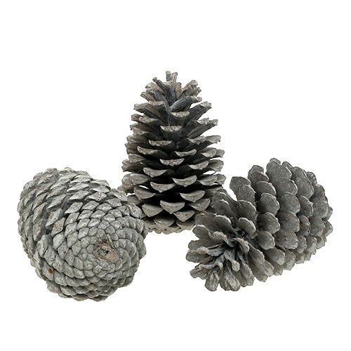 položky Maritima šišky 10cm - 14cm bílené 25 ks
