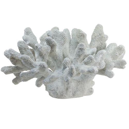 Floristik24 Námořní dekorace korálový polyresin bílý 38cm × 44cm × 27cm