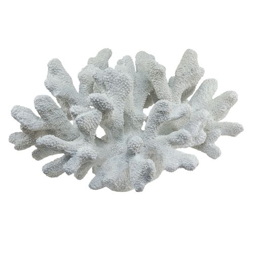 Floristik24 Námořní dekorace korálový polyresin bílý 38cm × 44cm × 27cm