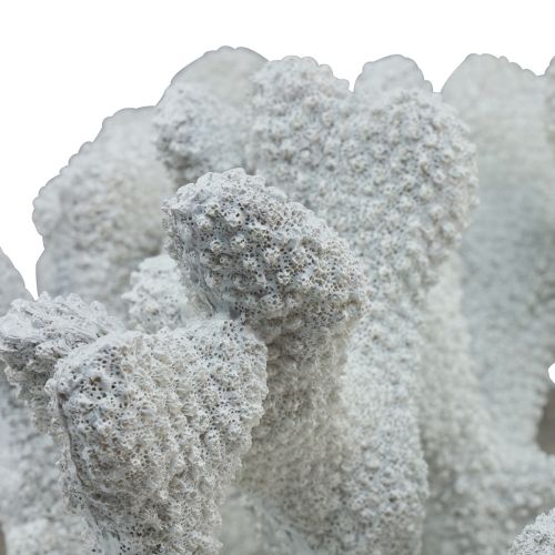Floristik24 Námořní dekorace korálový polyresin bílý 38cm × 44cm × 27cm