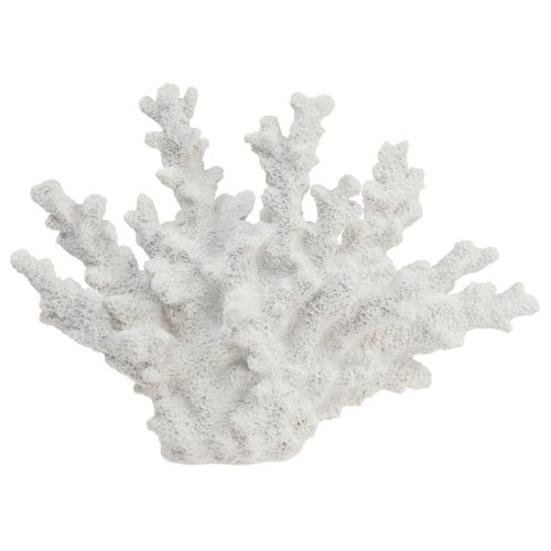 Floristik24 Námořní dekorace korálový polyresin bílý 18,5×26cm