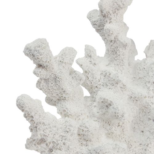Floristik24 Námořní dekorace korálový polyresin bílý 18,5×26cm