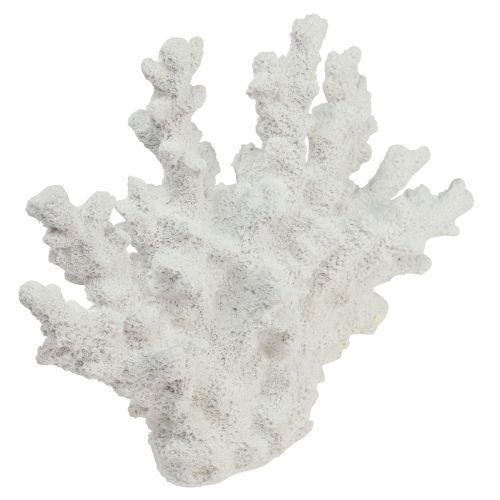 Floristik24 Námořní dekorace korálový polyresin bílý 18,5×26cm
