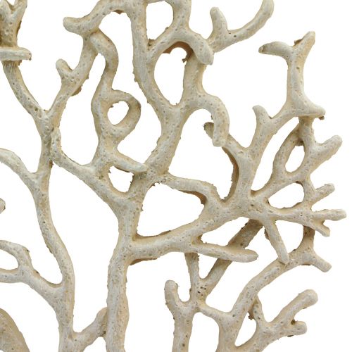 Floristik24 Námořní dekorace na stůl korál béžový dekorační korálový polyresin V20cm