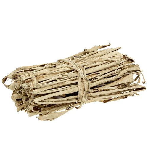 Floristik24 Kůra moruše přírodní 1kg