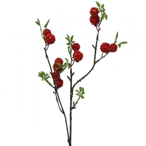 Floristik24 Berry větev umělá vánoční větev moruše 63cm