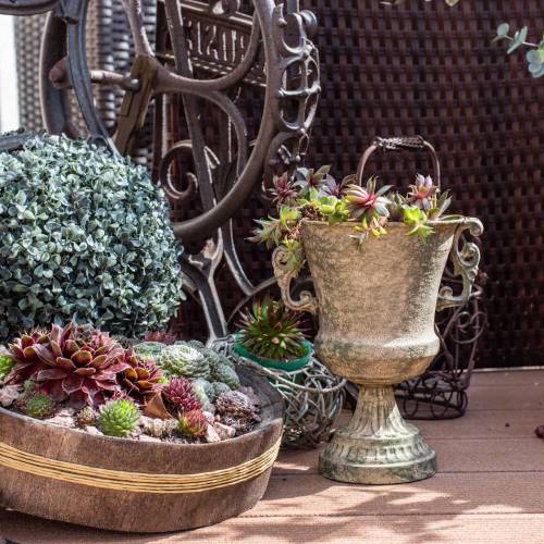 Floristik24 Kovový pohár pohár mechově zelená béžová Ø16cm V24cm